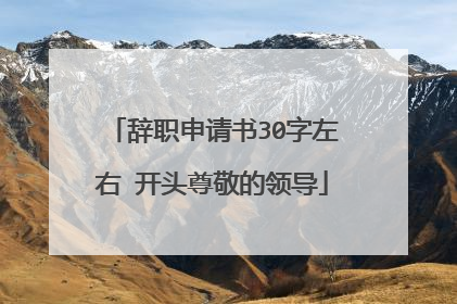 辞职申请书30字左右 开头尊敬的领导