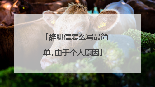 辞职信怎么写最简单,由于个人原因