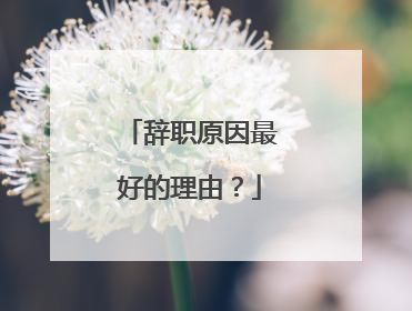 辞职原因最好的理由？