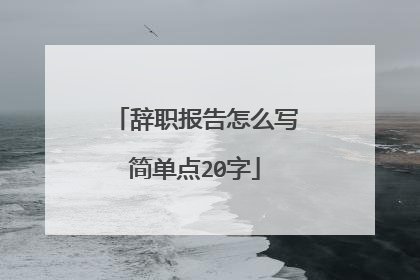 辞职报告怎么写简单点20字