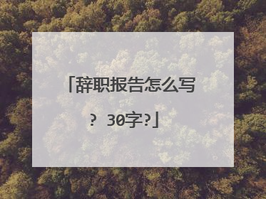 辞职报告怎么写? 30字?