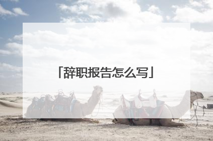 辞职报告怎么写