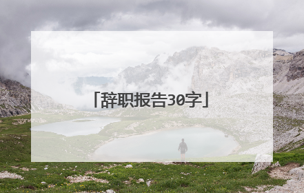 辞职报告30字