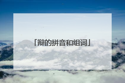 辩的拼音和组词