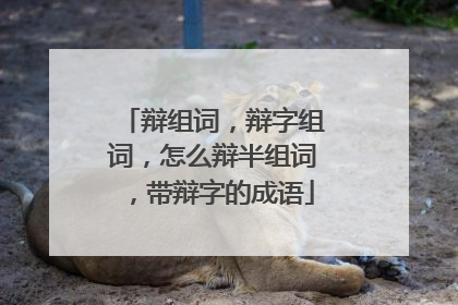 辩组词,辩字组词,怎么辩半组词,带辩字的成语