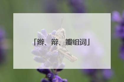 辫、辩、瓣组词