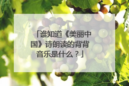谁知道《美丽中国》诗朗读的背背音乐是什么?