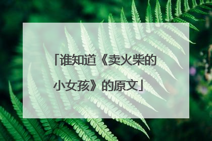 谁知道《卖火柴的小女孩》的原文