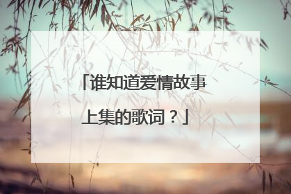 谁知道爱情故事上集的歌词?