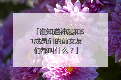 谁知道神起和SJ成员们的前女友们都叫什么？