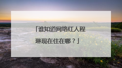 谁知道网络红人程琳现在住在哪?