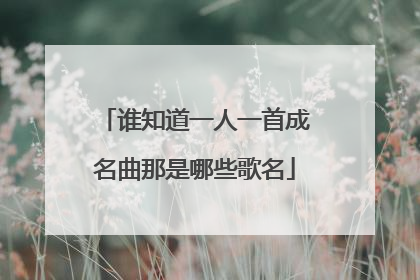 谁知道一人一首成名曲那是哪些歌名