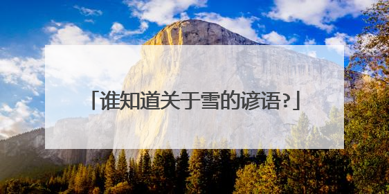 谁知道关于雪的谚语?