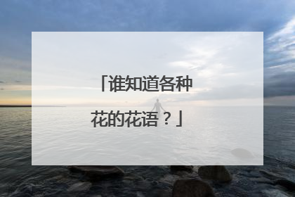 谁知道各种花的花语?