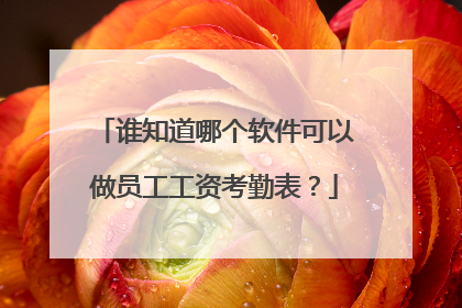 谁知道哪个软件可以做员工工资考勤表?