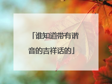 谁知道带有谐音的吉祥话的