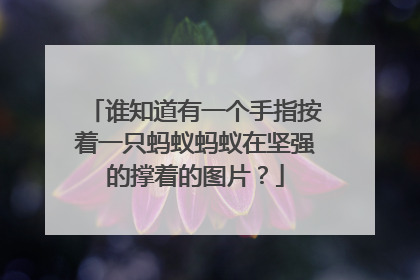 谁知道有一个手指按着一只蚂蚁蚂蚁在坚强的撑着的图片？