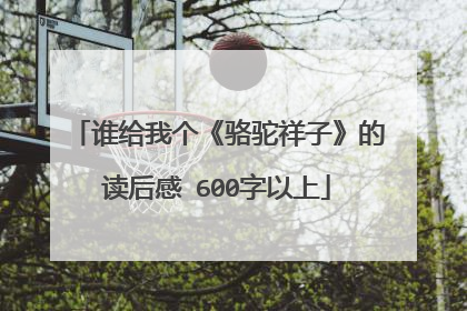 谁给我个《骆驼祥子》的读后感 600字以上