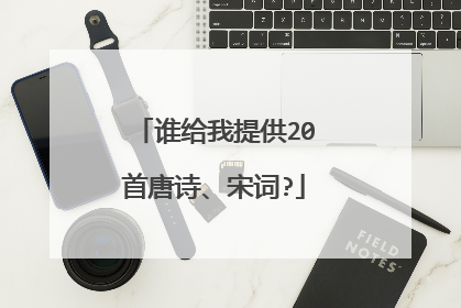 谁给我提供20首唐诗、宋词?