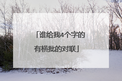 谁给我4个字的有横批的对联