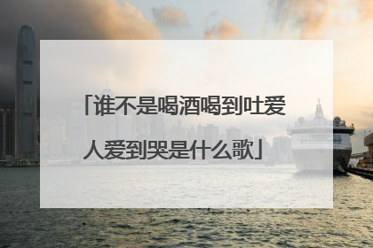 谁不是喝酒喝到吐爱人爱到哭是什么歌