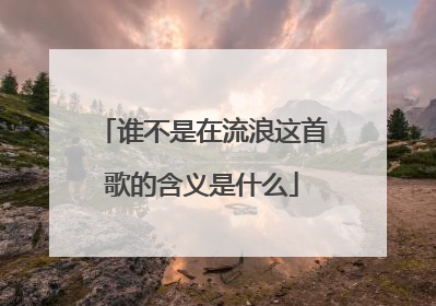 谁不是在流浪这首歌的含义是什么