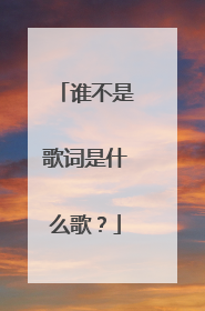 谁不是歌词是什么歌?