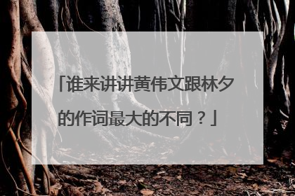 谁来讲讲黄伟文跟林夕的作词最大的不同?