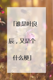 谁是叶良辰，又是个什么梗