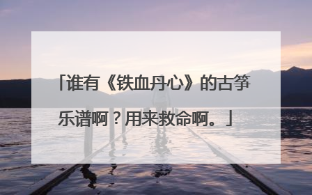 谁有《铁血丹心》的古筝乐谱啊？用来救命啊。
