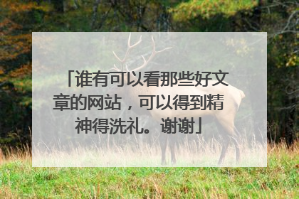 谁有可以看那些好文章的网站,可以得到精神得洗礼。谢谢