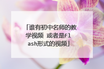 谁有初中名师的教学视频 或者是Flash形式的视频
