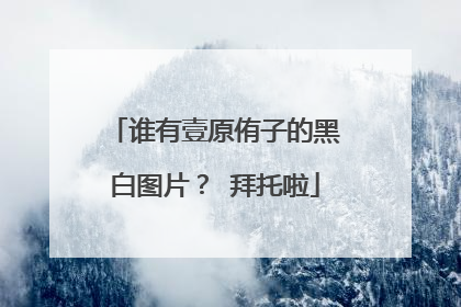 谁有壹原侑子的黑白图片？ 拜托啦