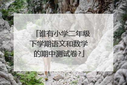 谁有小学二年级下学期语文和数学的期中测试卷?