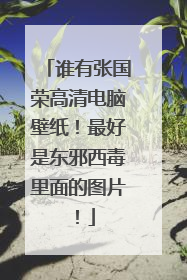 谁有张国荣高清电脑壁纸!最好是东邪西毒里面的图片!