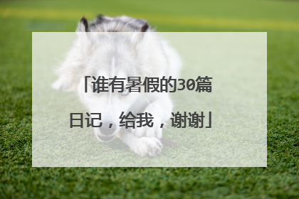谁有暑假的30篇日记,给我,谢谢