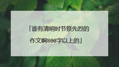 谁有清明时节祭先烈的作文啊800字以上的