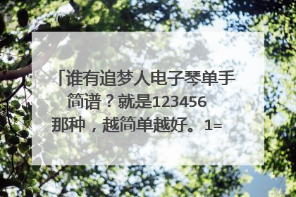 谁有追梦人电子琴单手简谱？就是123456那种，越简单越好。1=E4/4那样我完