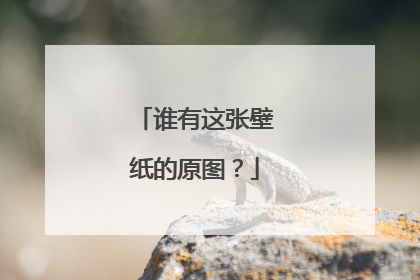 谁有这张壁纸的原图?