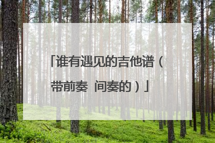 谁有遇见的吉他谱（带前奏 间奏的）