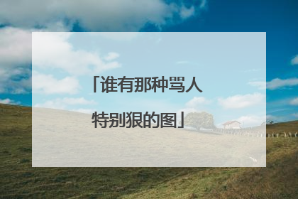 谁有那种骂人特别狠的图