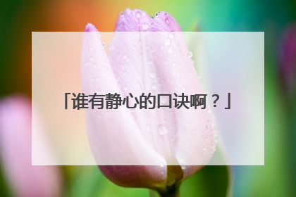 谁有静心的口诀啊?