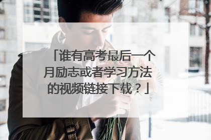 谁有高考最后一个月励志或者学习方法的视频链接下载?