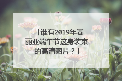 谁有2019年赛丽亚端午节这身装束的高清图片？