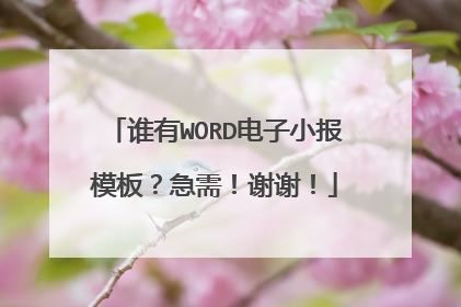 谁有WORD电子小报模板？急需！谢谢！