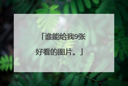 谁能给我9张好看的图片。