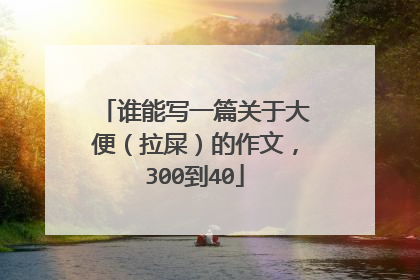 谁能写一篇关于大便(拉屎)的作文,300到40