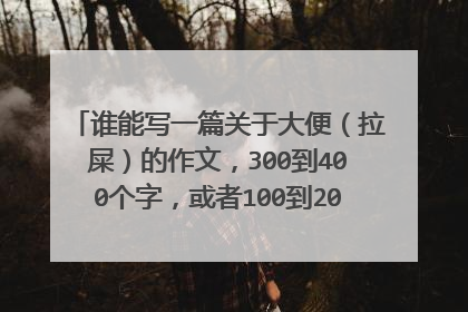 谁能写一篇关于大便（拉屎）的作文，300到400个字，或者100到200。谁来挑战一下
