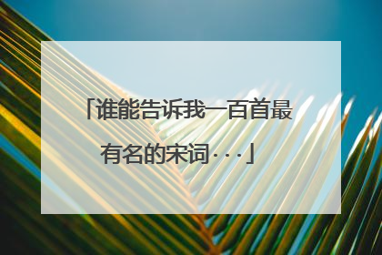 谁能告诉我一百首最有名的宋词···