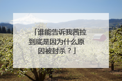 谁能告诉我茜拉到底是因为什么原因被封杀?